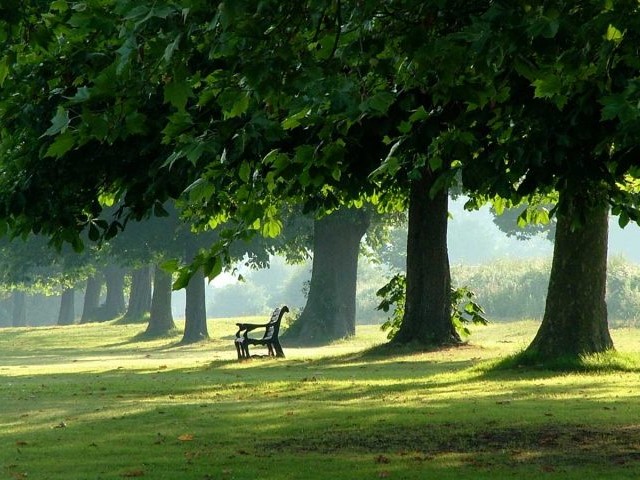 Parkland at Marsh Green