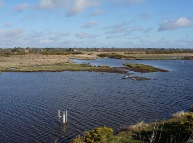 Pennington Marshes