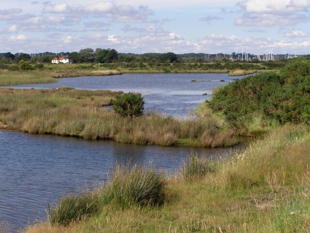 Brackish lagoons of Oxey Marshes