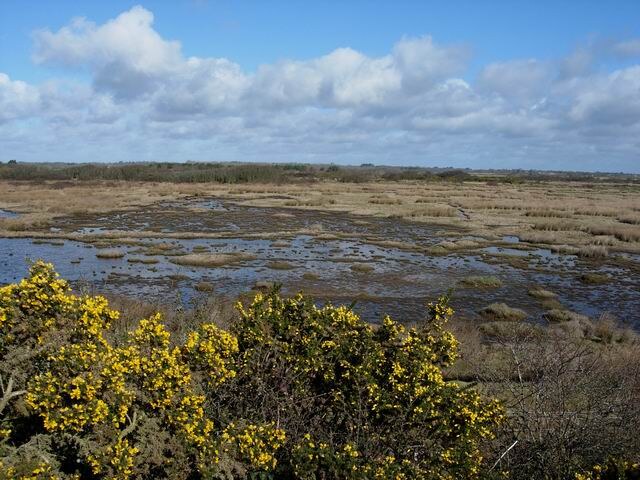 Keyhaven Marshes