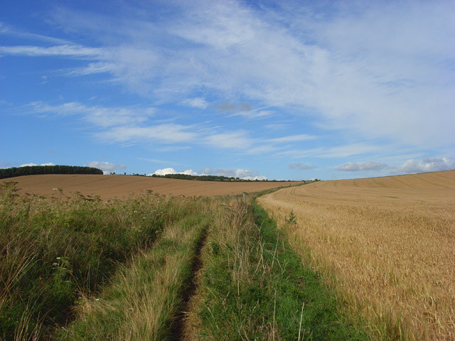 Eastbury Down