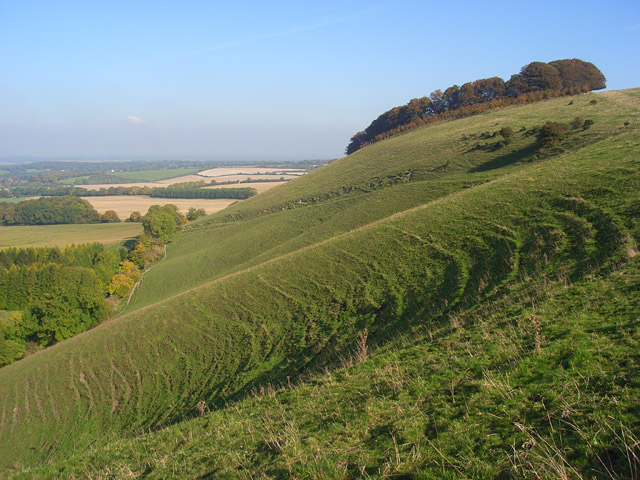 Ham Hill