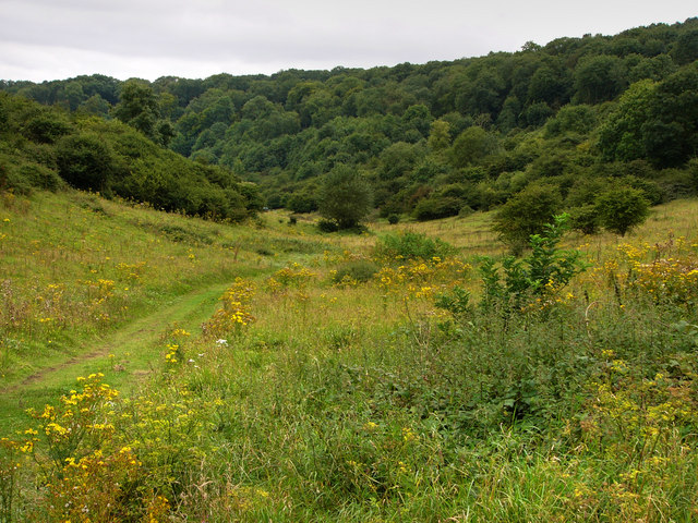 Harting Downs