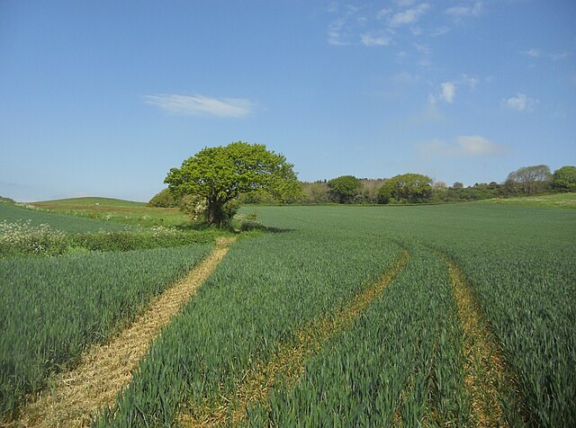 Approaching St George's Down