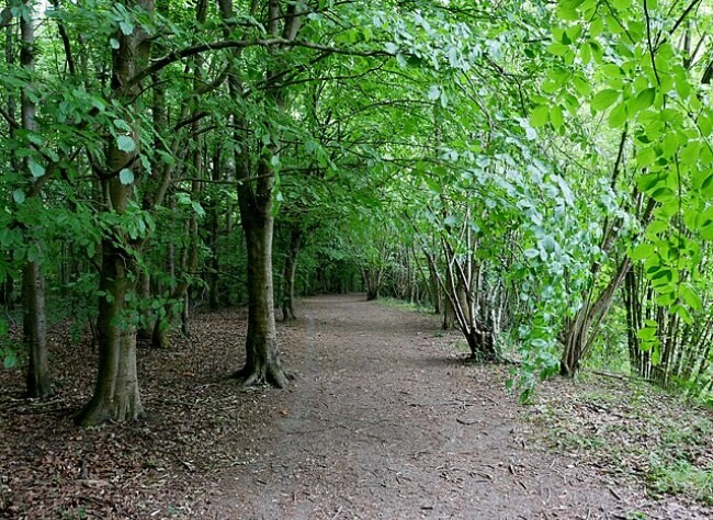 High Elms Country Park