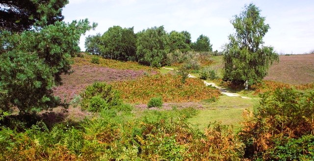 Smuggler's Road on Vales Moor