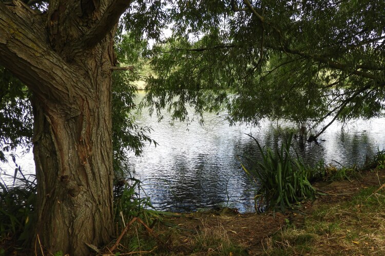 River Thames between Whitchurch and Mapledurham