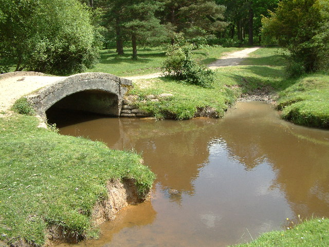 Splash Bridge