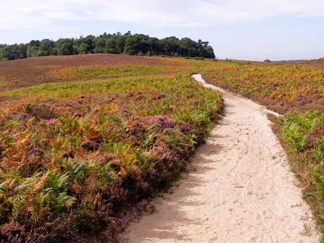 The path leading to Hasley Hill