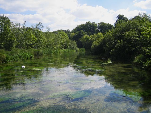 River Itchen