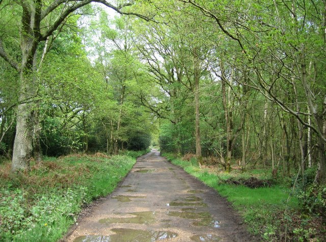 Bucklebury Common