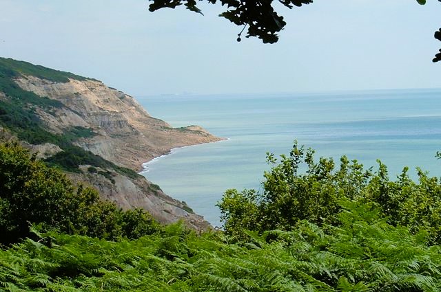 View from Fairlight Glen to Covehurst Bay