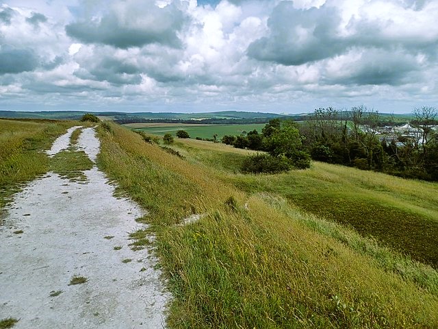 The Trundle, St Roche's Hill