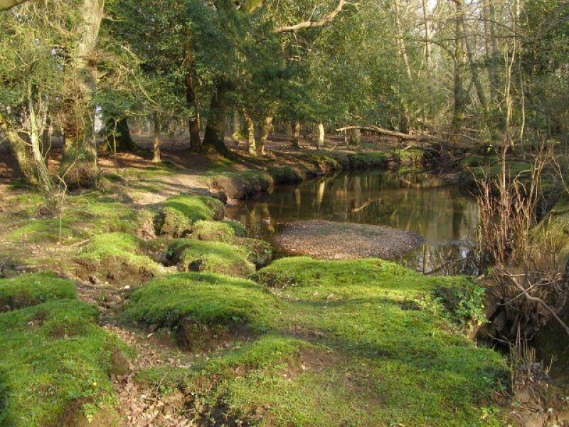 Beaulieu River