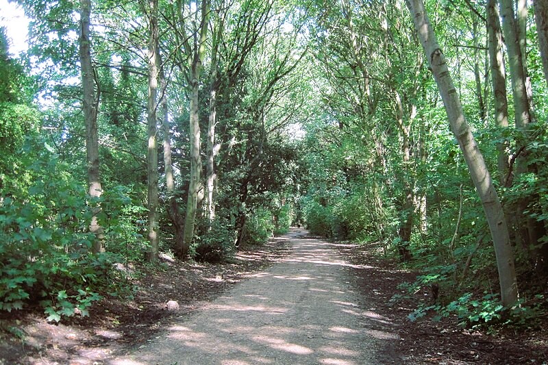 Following the Parkland Walk from Finsbury