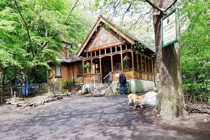 Cafe in Queen's Wood