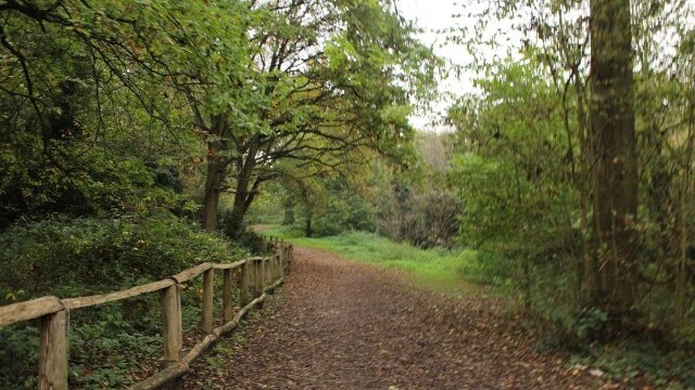 Scadbury Park, Chislehurst