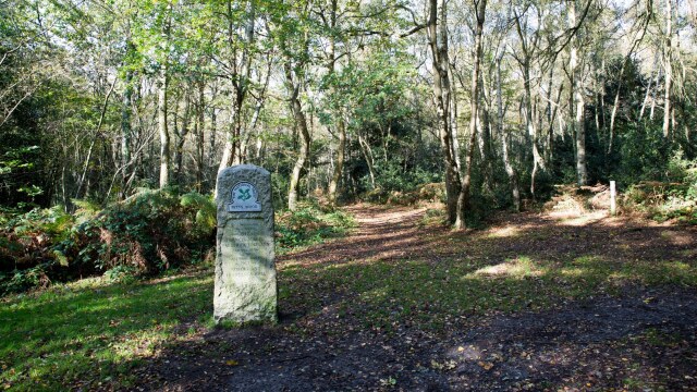 Pett's Wood, Chislehurst