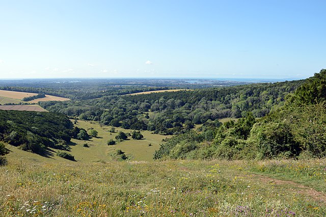 Kingley Vale National Nature Reserve