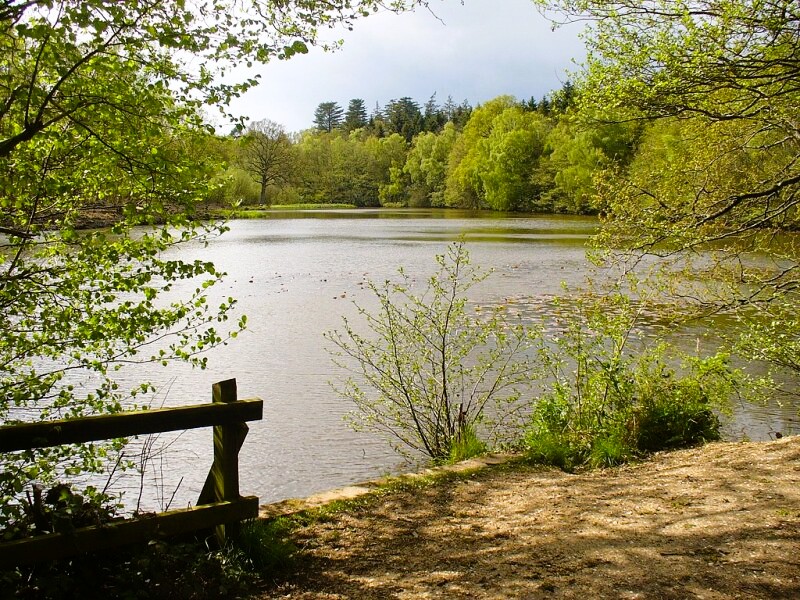 Kiln Pond, Mortimer West End