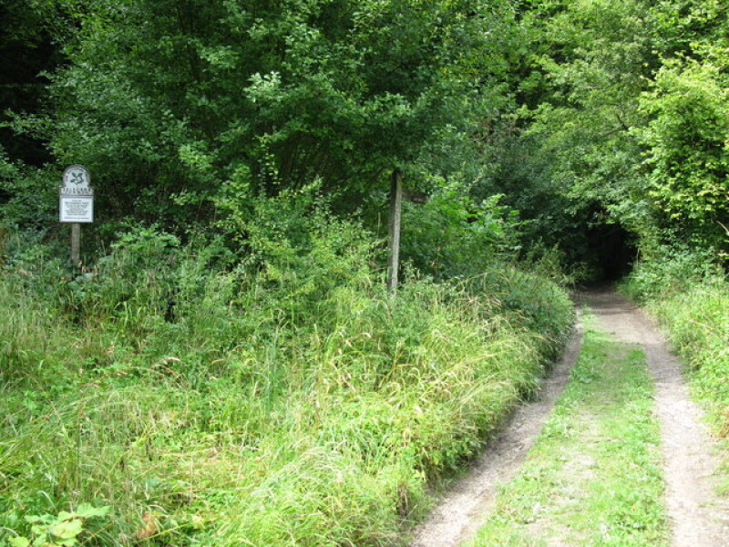 Path leading to Selborne Common