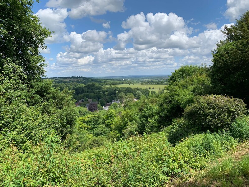 View to Selborne from Selborne Hill