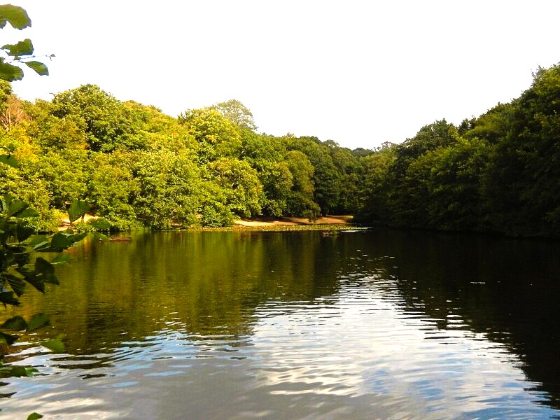 Queen's Mere, Wimbledon Common