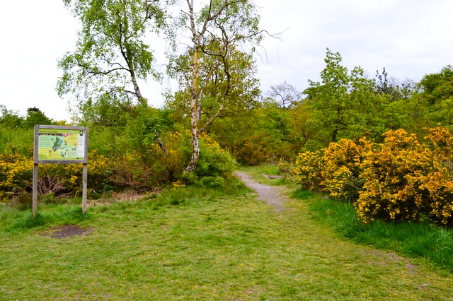 Keston Common