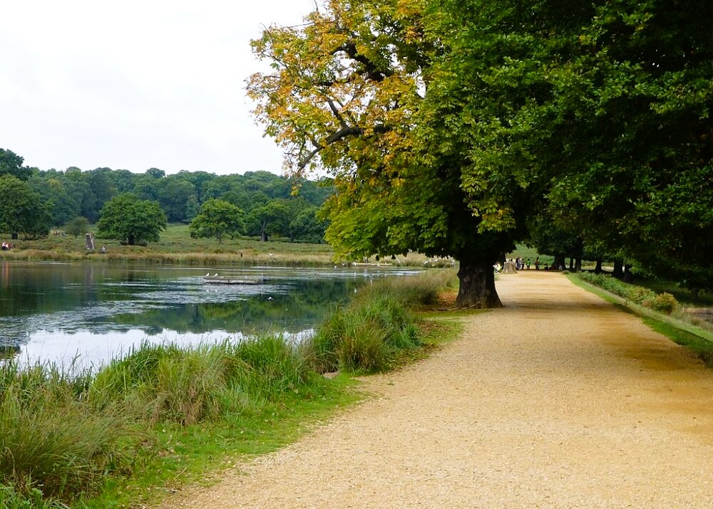 Pen Ponds, Richmond Park