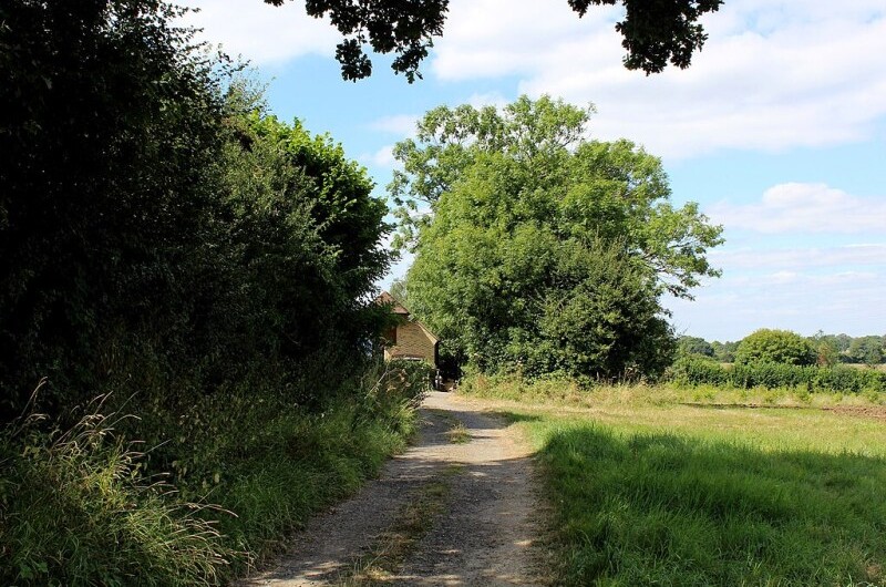 Country lane beside Henley Wood