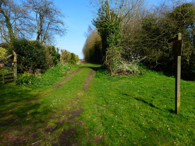 The path from Lower Wield to Upper Wield