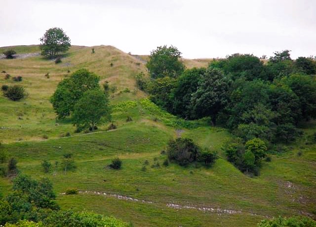 Dolebury Hill