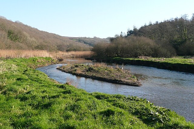 River Cam near Shell Wood