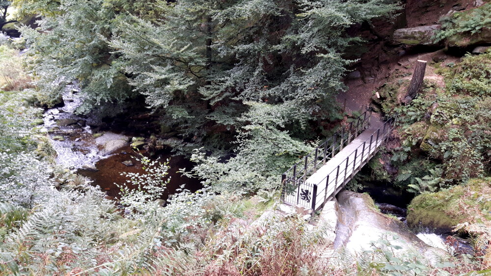 Afon Rhaeadr Footbridge