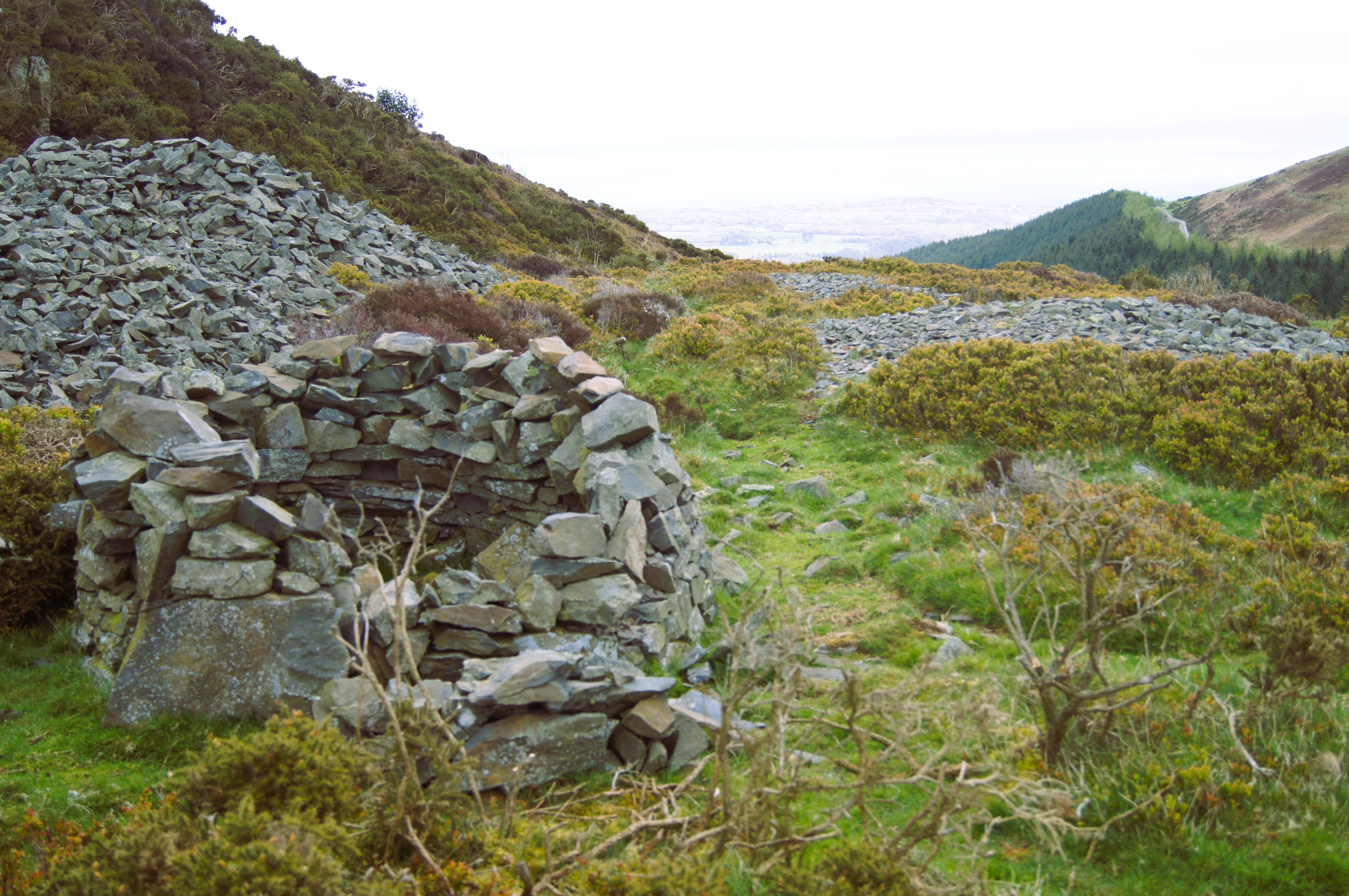 Stone shelter below Moel Arthur