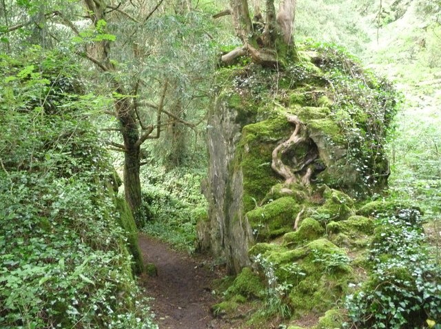 The path leading from Wynd Cliff