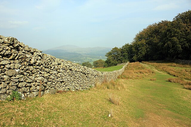 Drystone wall on Foel Cynwch