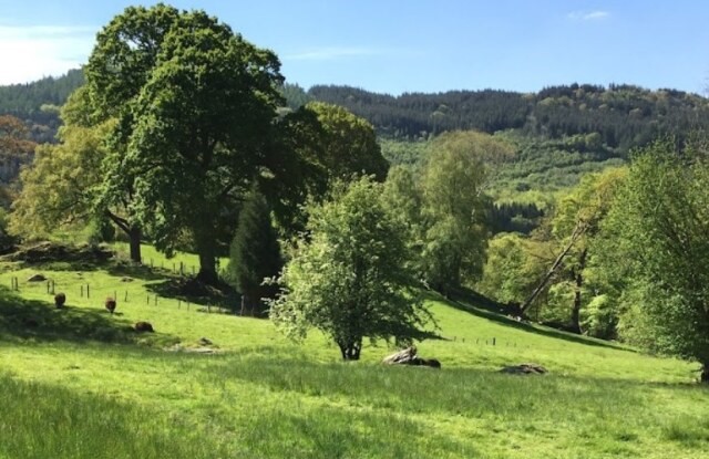 Countryside of Glyn Lledr