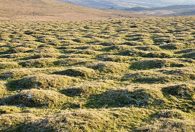 Pillow mounds at Beddau'r Derwyddon