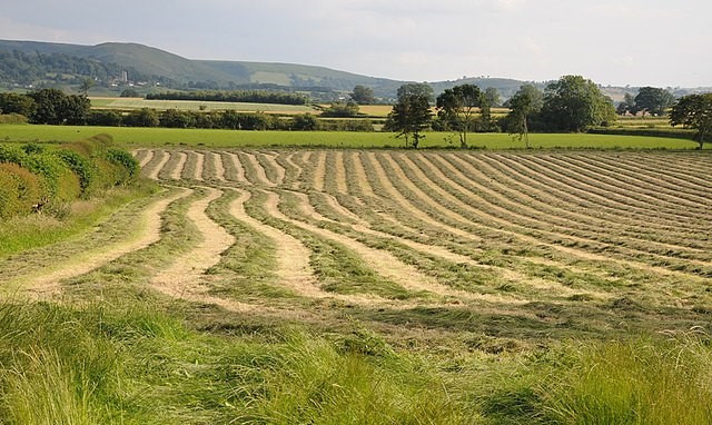 Countryside around Kinnerton