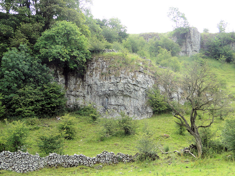 Limestone in Tideswell Dale