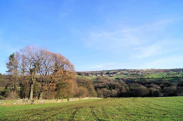 View to High Bradfield from Windy Bank