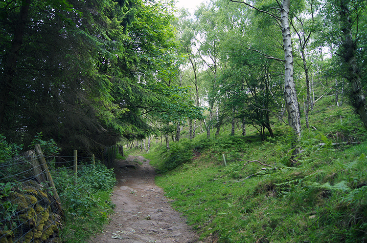 Climbing to Birchen Edge