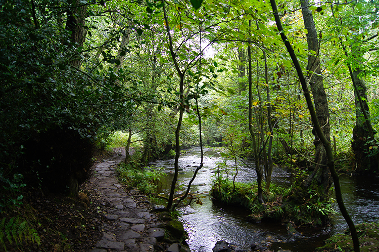 Following the River Rivelin downstream