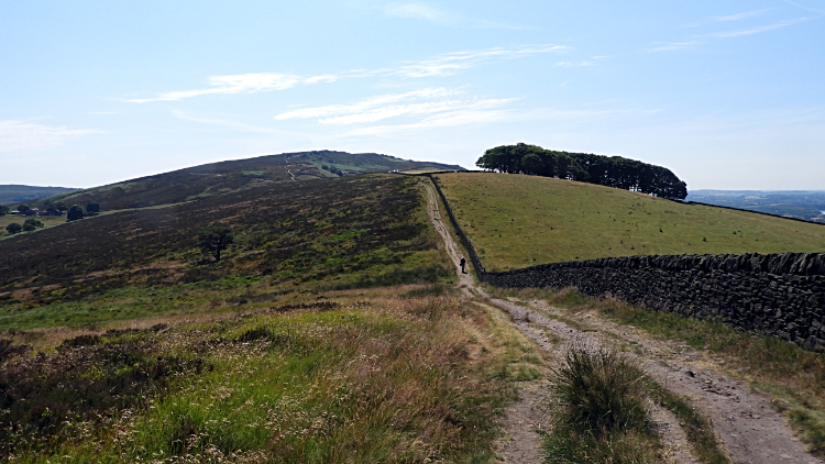 Path to the Roaches