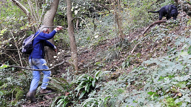 Steve climbs the steep path from Dove Dale