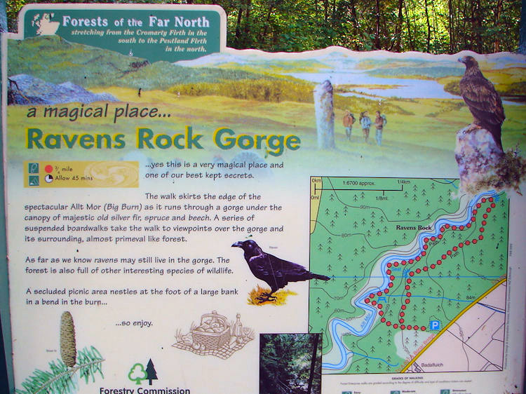 Ravens Rock Gorge