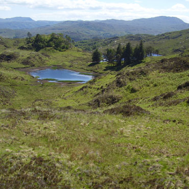 The view south towards Loch Blain