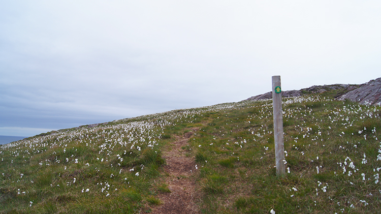 Passing a waymarker on Rubha Beag