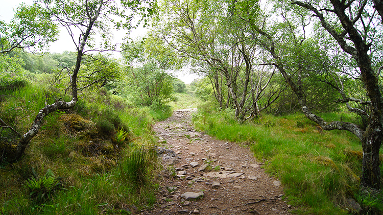 Following the track from Shieldaig Farm